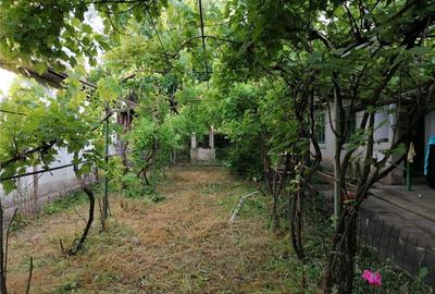 Casă în Vârtop - 10