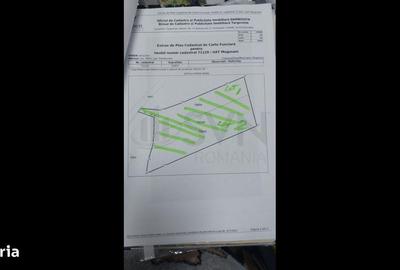 Spațiu comercial, în Merii - 4