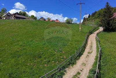 Teren Construcții intravilan de 2756 mp, în Fundata - 2