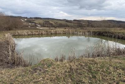 Spațiu comercial, în Central