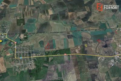 COMISION 0% Teren Extravilan Agricol, Beregsau Mare - Zona in dezvoltare - 1