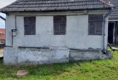 Casă cu 2 camere în Frunzeni - 9