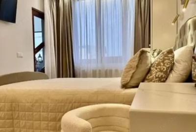 Apartament cu 2 camere semidecomandat, mobilat în Doamna Ghica - 5