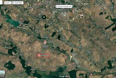 Teren intravilan 6000 mp Adunatii Copaceni Giurgiu deschidere la DN 5 - 4