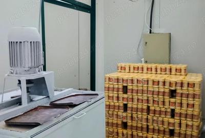 De vanzare afacere de productie Mustar de Tecuci(COMPLETA,LA CHEIE) - 4