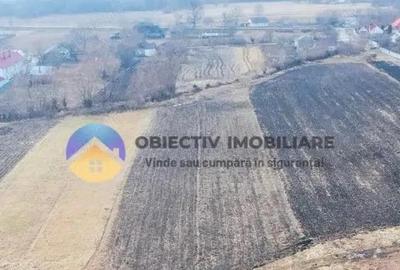 Teren de 10515 mp, în Bodești - 9