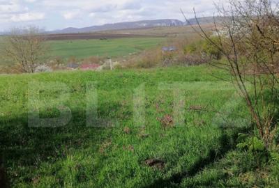 Teren intravilan, 1500 mp in Turda - 6