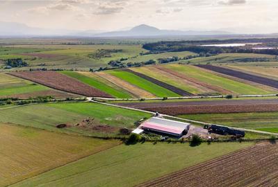 FILM! 18.000 mp,extravilan,agricol constructii, recomandat:f - 12