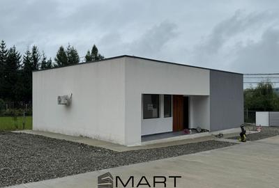 Casa Individuala cu 3 camere in Tocile - 2