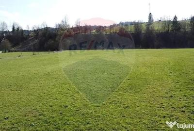 Teren de 9202 mp, în Mănăstirea Humorului - 11