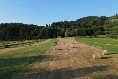 Teren de 5886 mp, în Bucșoaia - 8