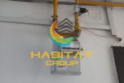 Apartament cu 2 camere decomandat în Alexandru Obregia - 4