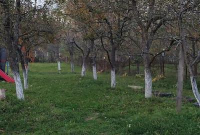 Vand casa cu livada - 3