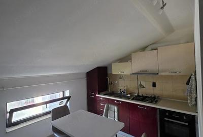 Apartament cu 2 camere decomandat, mobilat în Bariera Vâlcii - 3