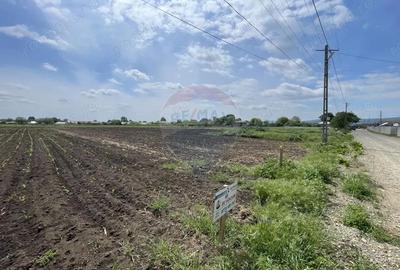 Teren de 2086 mp, în Țifești - 5
