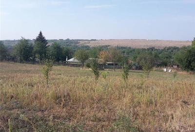 Teren de 3555 mp, în Smulți - 7
