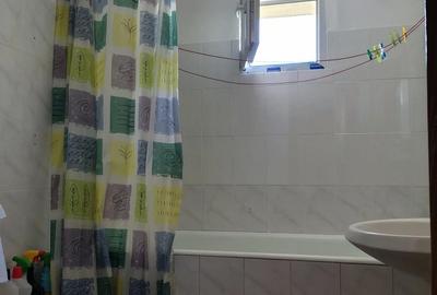 Apartament cu 3 camere semidecomandat în Colentina - 4