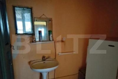 Casa de vanzare 800 mp curte, 32 mp utili, Bratovoe?ti - 8