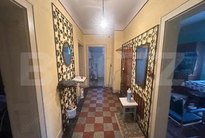 Casă cu 4 camere cu Teren 6197 Mp în Viile Satu Mare - 15