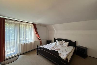 Pensiune de vanzare in statiunea Paltinis,Sibiu- Afacere la cheie - 14