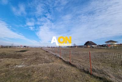 Teren Construcții intravilan de 954 mp, în Periferie - 4
