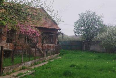Casa cu curte ?i gradina - 2200mp - 1