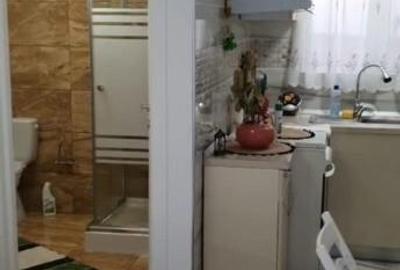 Teren 500 mp si Casuta de Vacanta - 3