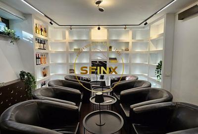 Cismigiu, inchiriere vila interbelica renovata, curte mare, parcare - 11