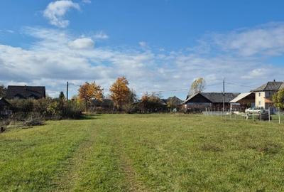 Chechis, 27 ari teren intrav. - 1