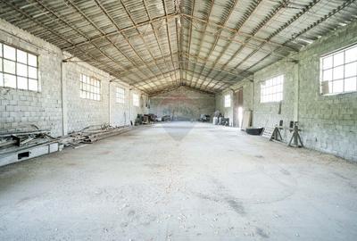 Spațiu industrial, de 3,139 mp, în Răducăneni - 9