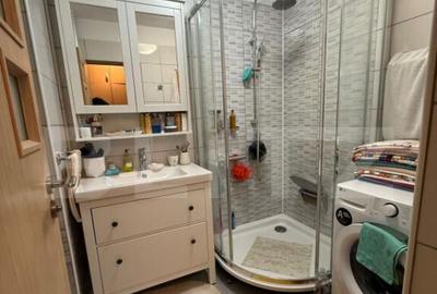 Apartament cu 5 camere decomandat în Take Ionescu - 5