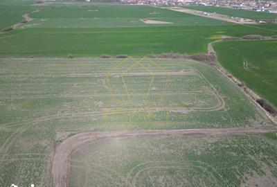 Teren de 14000 mp, în Sânandrei