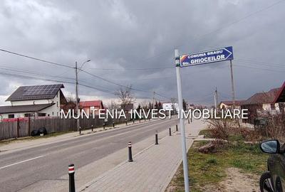 Teren de 7000 mp, în Bradu - 3