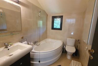 Vila spatioasa Sisesti, Vatra Noua - Padurea Baneasa - 27