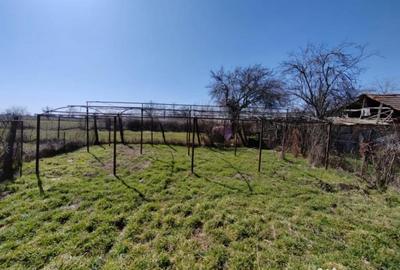 Casă cu 4 camere cu Teren 800 Mp în Vadu Părului - 15