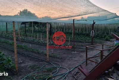 Casă cu 2 camere cu Teren 1711 Mp în Topraisar - 7