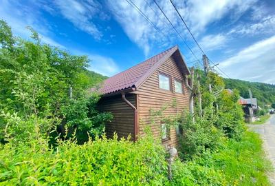 Casa de vacanta in Baiut - 1