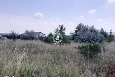 Teren de 500 mp, în Rediu - 1