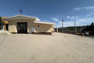 Spatiu multifunctional 334mp, zona Antibiotice - 2