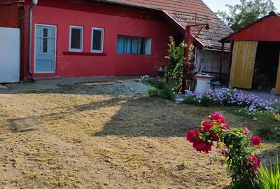 Casa de vanzare Casa de vanzare - 3