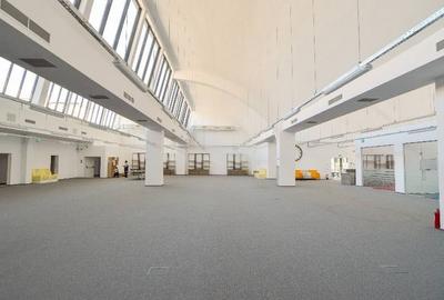 0% comision! Inchiriere birouri Domenii, 663 - 1643 mp - 6