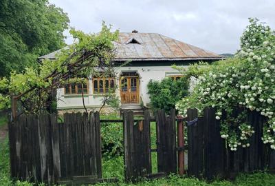 Casă individuală cu 3 camere cu Canalizare în Polovragi - 1