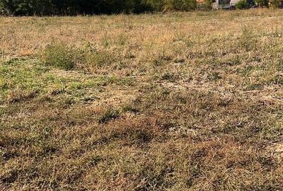 Spațiu comercial, în Girișu de Criș