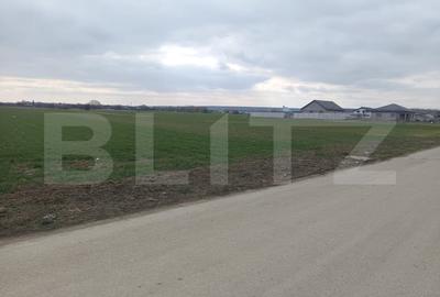 Teren Construcții intravilan de 7200 mp, în Exterior Sud - 3