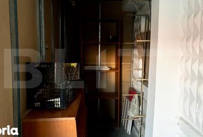 Casă cu 4 camere cu Teren 462 Mp în Craiovița Nouă - 2