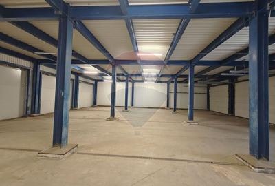 Hala 400 mp, depozitare, productie, acces TIR - DN1 Cluj-Oradea - 4