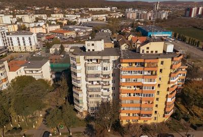 Apartament cu 3 camere - ideal pentru o familie | zona Shopping City - 11