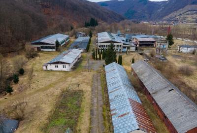 Negreni hala industriala - fosta fabrica de scaune din lemn vanzare rapida - 16