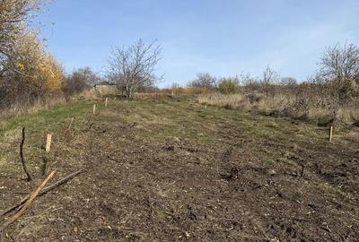 Teren de 1200 mp, în Tomești - 5