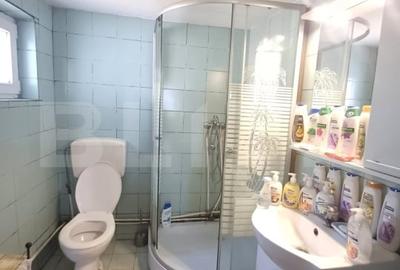 Casa renovabila, 2 camere, zona Cetate - 14